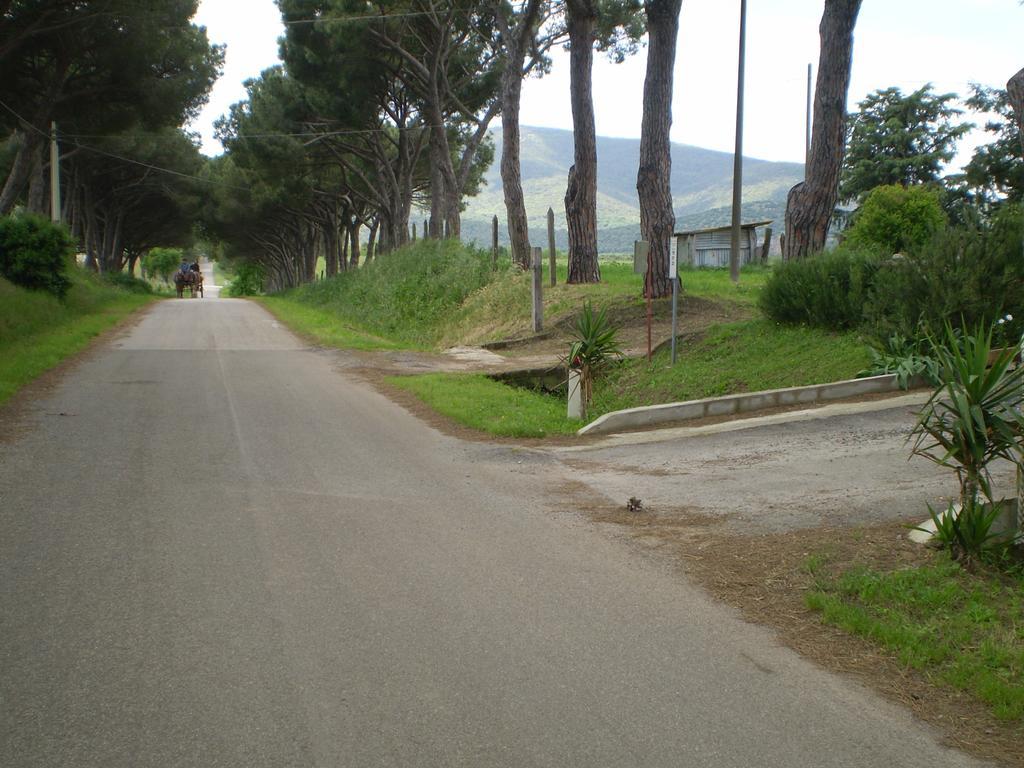 Agriturismo Ternova Alberese Dış mekan fotoğraf