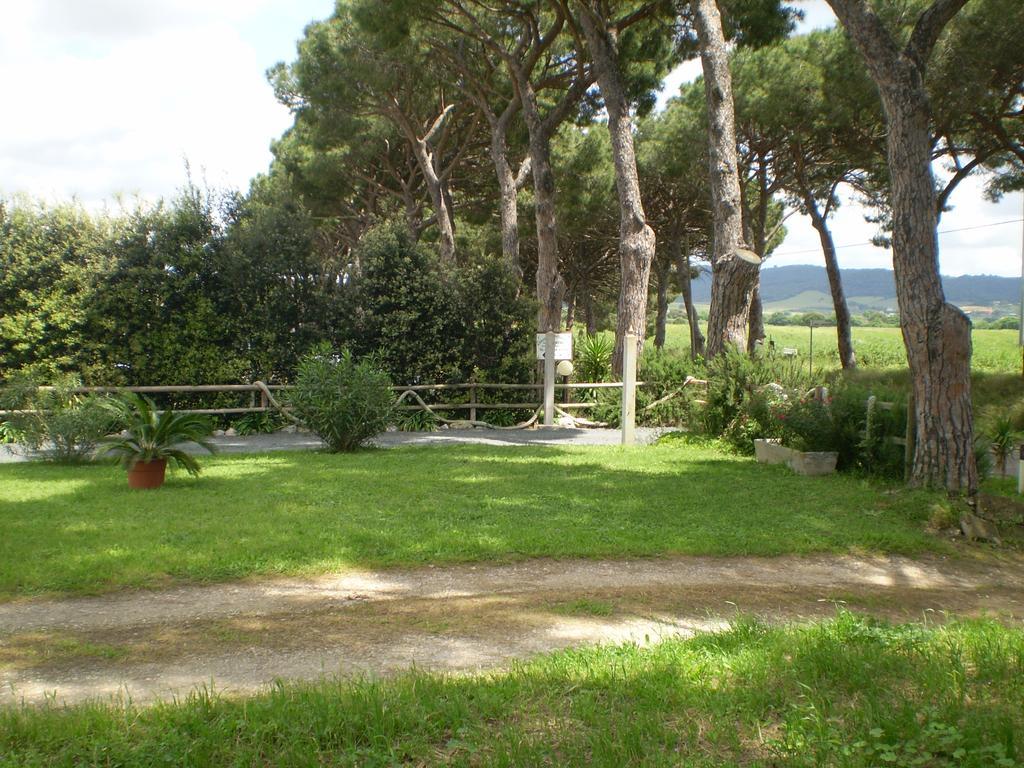 Agriturismo Ternova Alberese Dış mekan fotoğraf